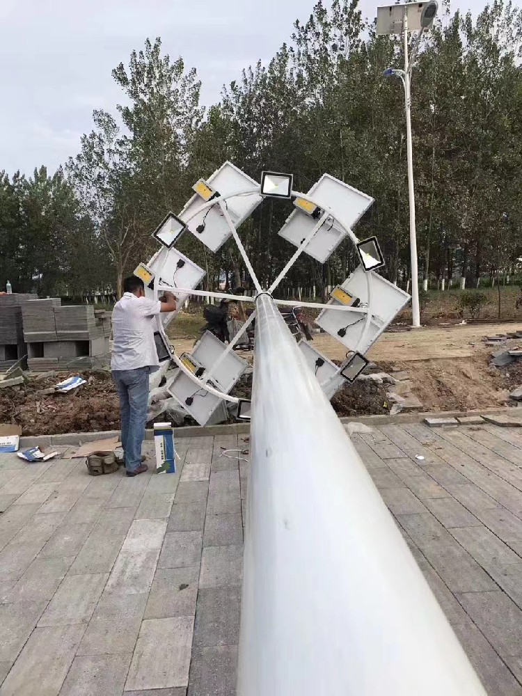 安徽滁州定远县太阳能中杆案例